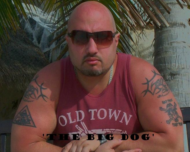 big_dog
